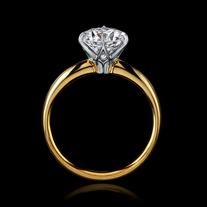 D.C. Johnson Signature Collection
