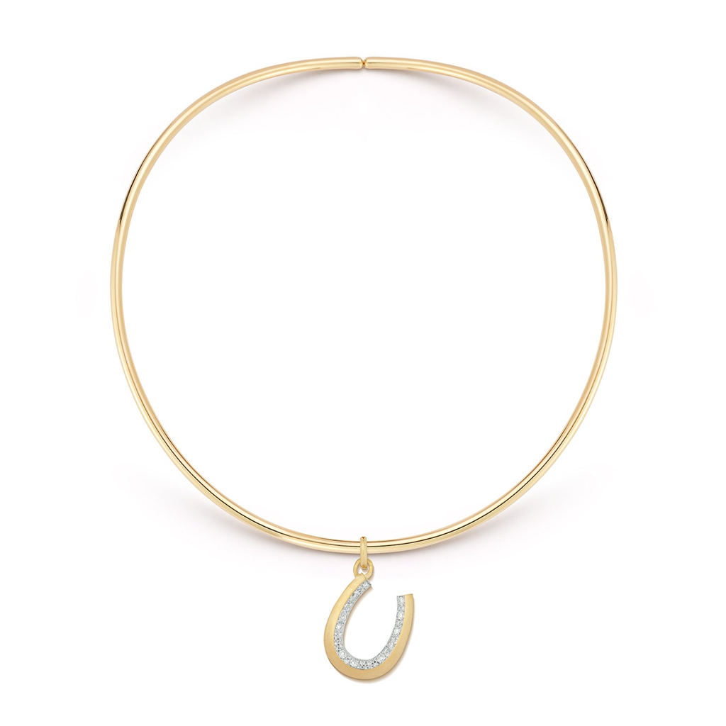 gold collar necklace with horseshoe charm