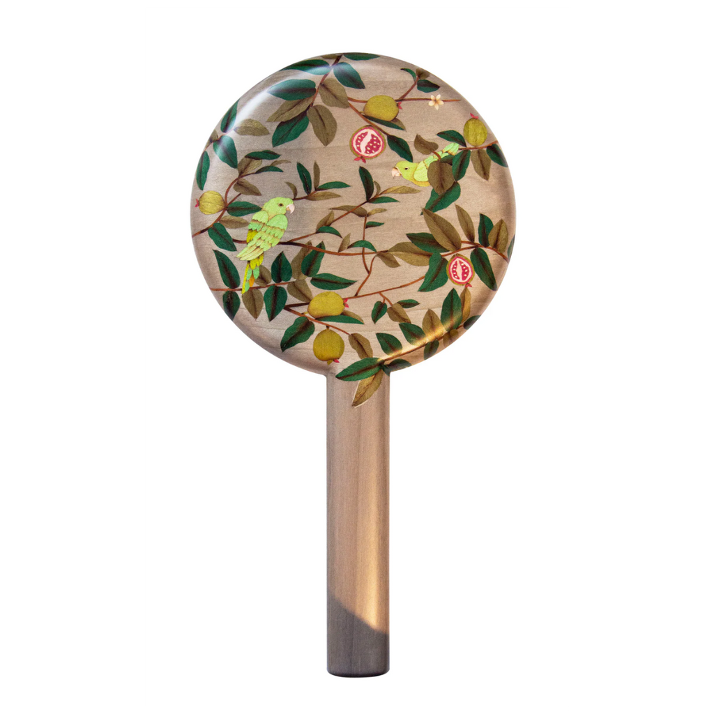 Guava & Parrot Pattern Marquetry Mirror