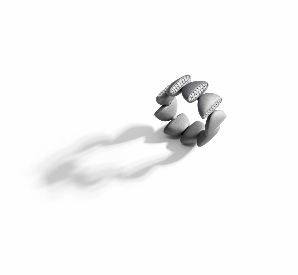 Titanium and diamond ring